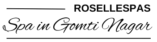 Logo Rosellespa gomti nagar